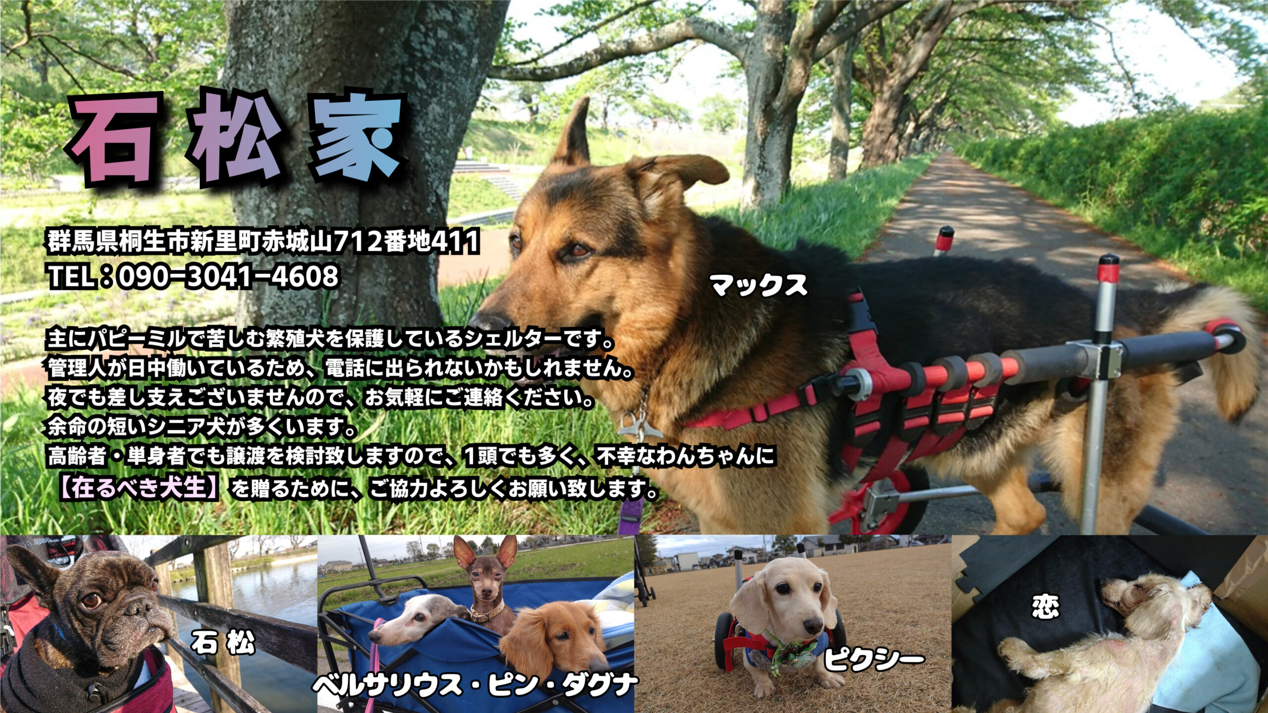 石松家